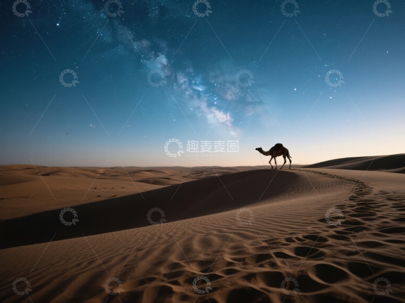 高清大图下载【趣麦麦图】沙漠夜景：骆驼与星空