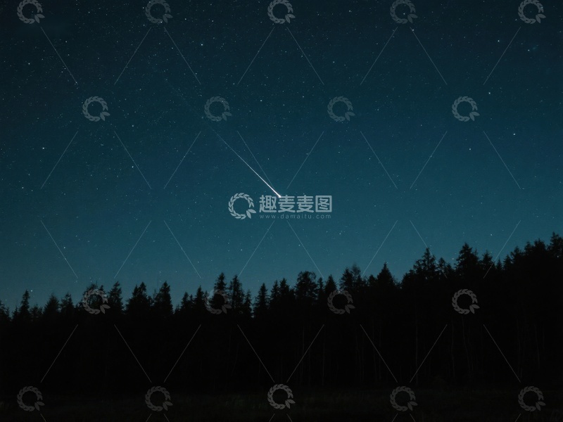 高清大图下载【趣麦麦图】夜空流星划过森林剪影