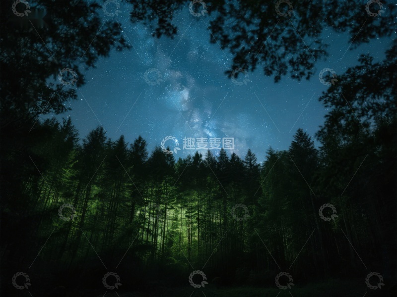 高清大图下载【趣麦麦图】夜空下的森林与银河