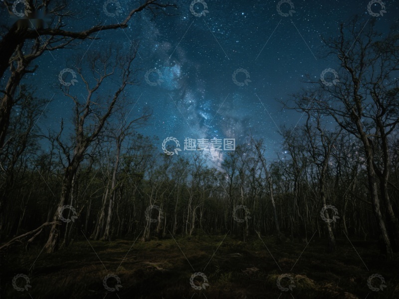 高清大图下载【趣麦麦图】夜空下的森林银河