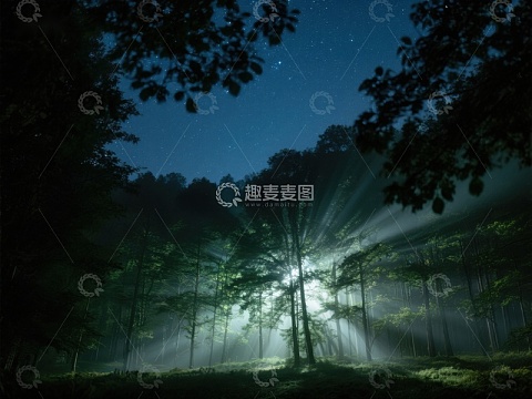 夜幕森林，光束穿透树梢