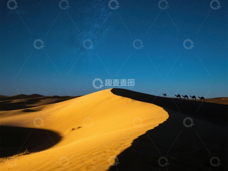 高清大图下载【趣麦麦图】夜空下的沙漠驼队