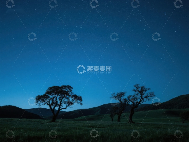 高清大图下载【趣麦麦图】夜空下的孤树与草地