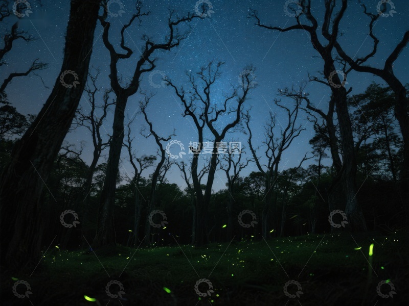 高清大图下载【趣麦麦图】夜幕森林，萤火虫闪烁