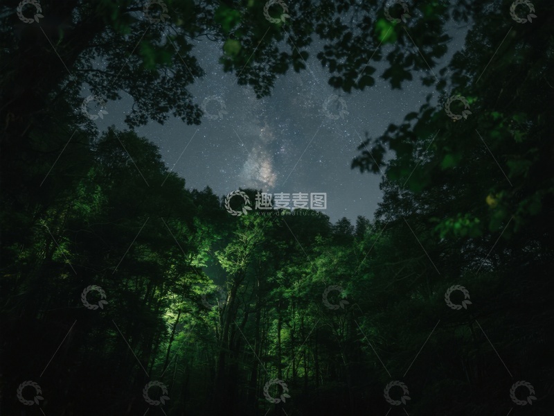 高清大图下载【趣麦麦图】夜空下的森林