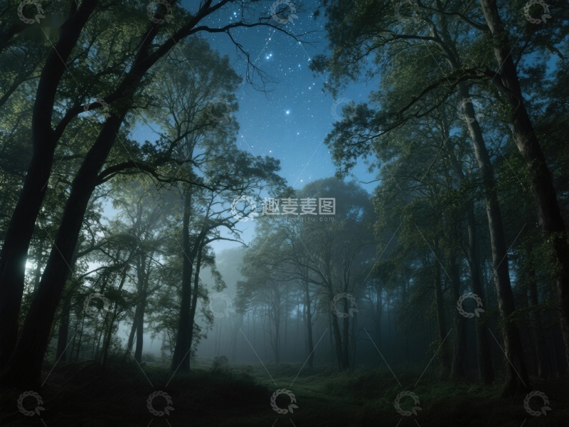 高清大图下载【趣麦麦图】夜幕森林，星光点点