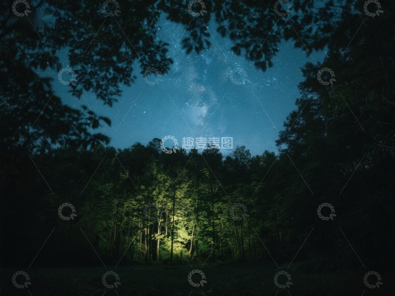 高清大图下载【趣麦麦图】夜空下的森林与银河