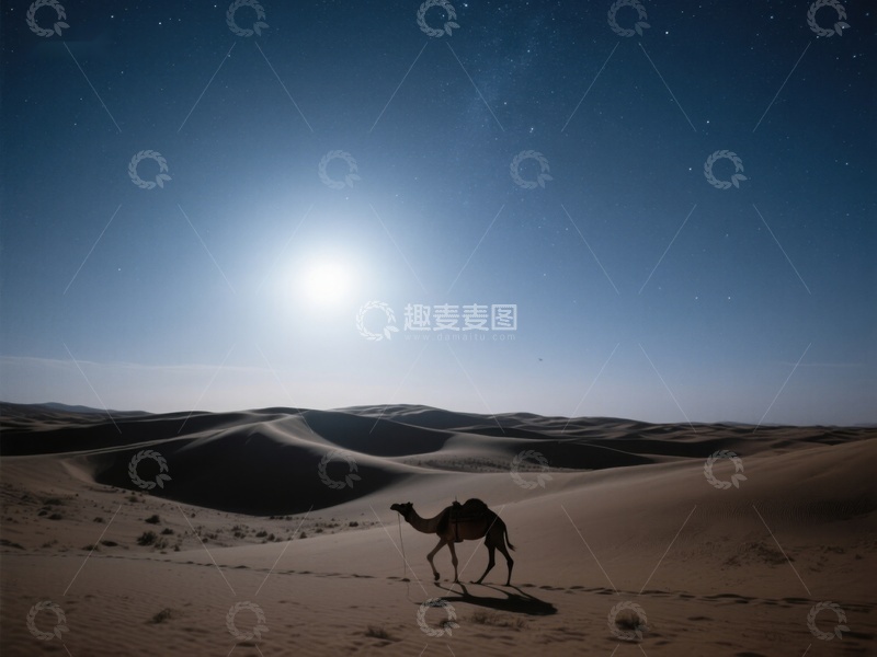 高清大图下载【趣麦麦图】月光下的沙漠骆驼
