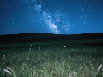 夜空下的萤火虫与银河