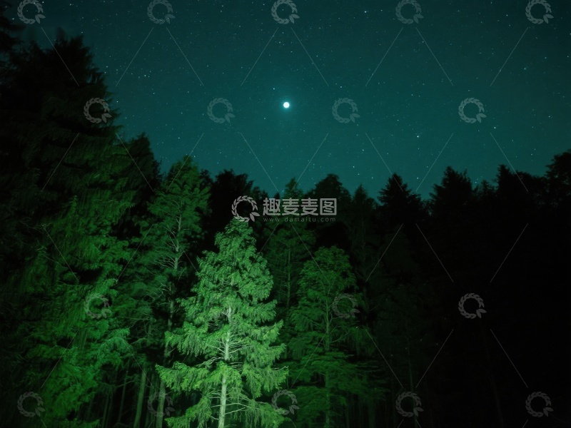 高清大图下载【趣麦麦图】夜空下的森林与明亮星辰