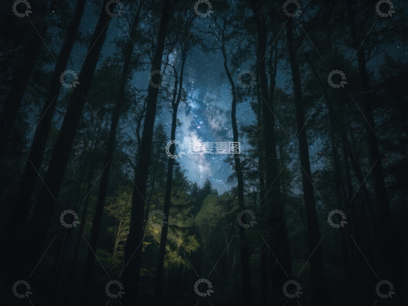 高清大图下载【趣麦麦图】-夜空下的森林剪影