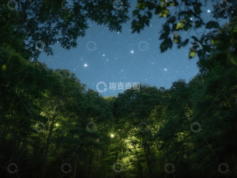 高清大图下载【趣麦麦图】夜空下的森林，星光闪烁