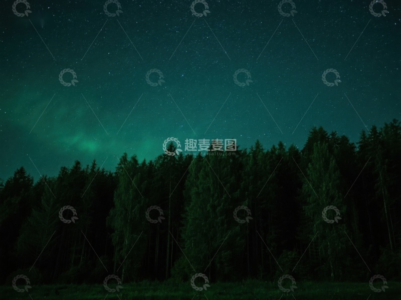 高清大图下载【趣麦麦图】夜空下的森林与极光