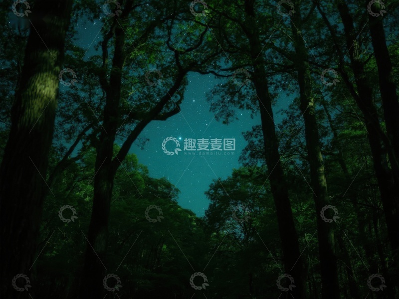 高清大图下载【趣麦麦图】夜空下的森林