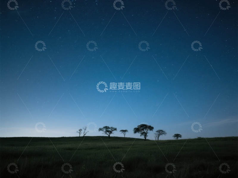 高清大图下载【趣麦麦图】夜空下的孤树剪影