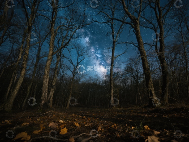 高清大图下载【趣麦麦图】夜空下的森林银河