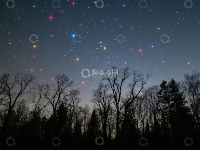 高清大图下载【趣麦麦图】夜空下的森林剪影