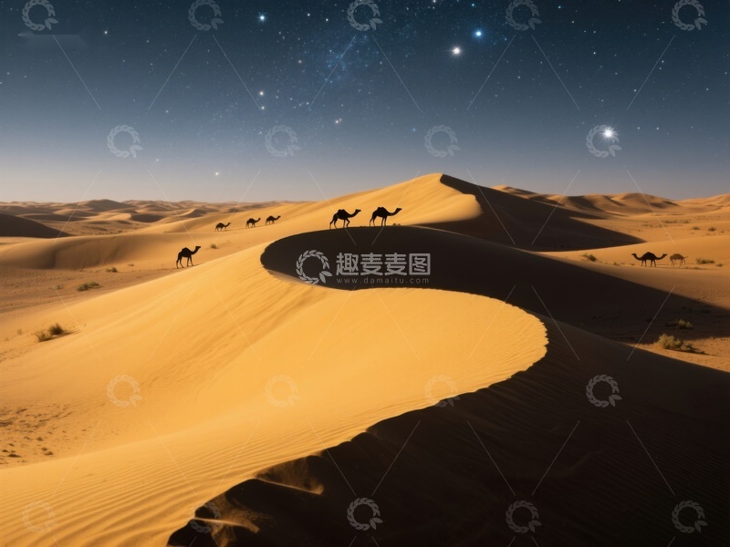 高清大图下载【趣麦麦图】沙漠夜景：骆驼行走在沙丘上