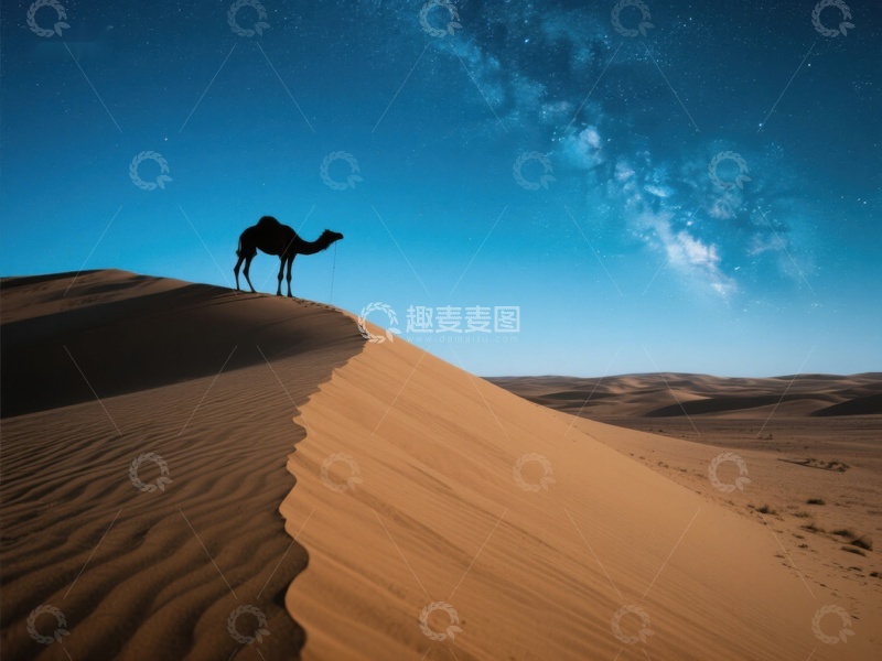 高清大图下载【趣麦麦图】沙漠夜景中的骆驼剪影