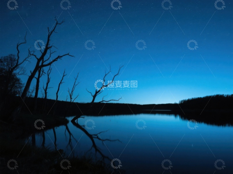 高清大图下载【趣麦麦图】夜幕下的湖畔枯树剪影
