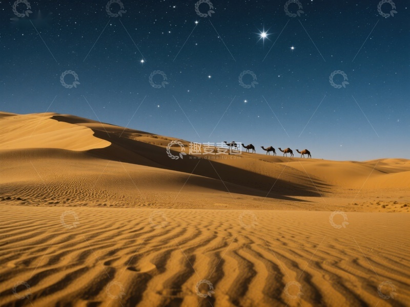 高清大图下载【趣麦麦图】沙漠夜景：骆驼队与星空