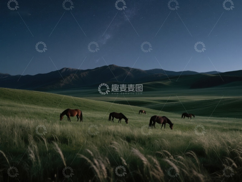 高清大图下载【趣麦麦图】夜幕下的草原马群