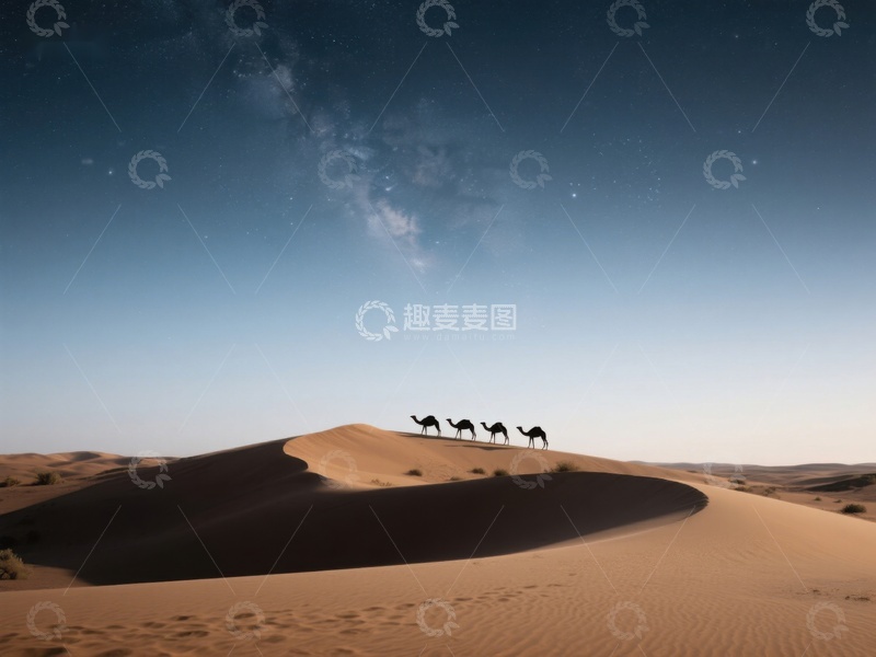 高清大图下载【趣麦麦图】沙漠夜景：骆驼队穿越沙丘
