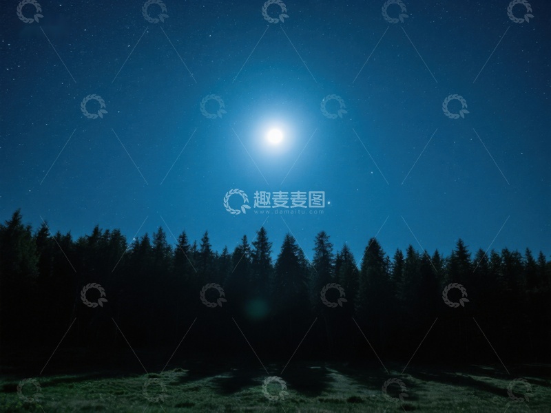 高清大图下载【趣麦麦图】月光下的森林夜景