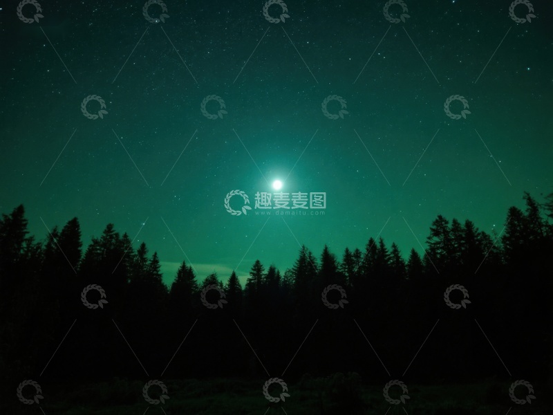 高清大图下载【趣麦麦图】夜空下的森林剪影