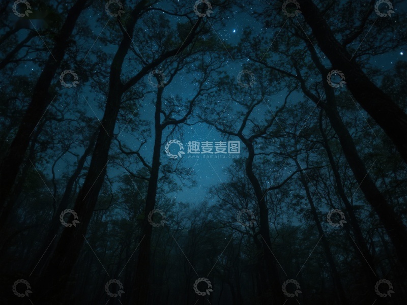 高清大图下载【趣麦麦图】夜空下的森林剪影