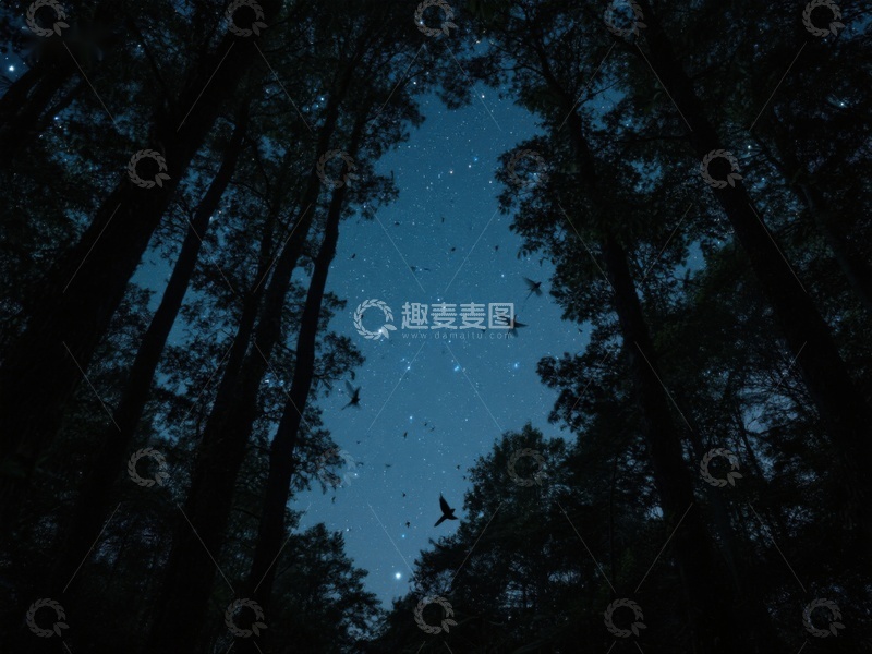 高清大图下载【趣麦麦图】夜空下的森林与飞翔的鸟群