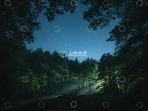 夜幕森林，星光与光束交织