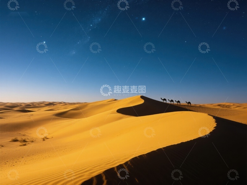 高清大图下载【趣麦麦图】夜幕下的沙漠驼队