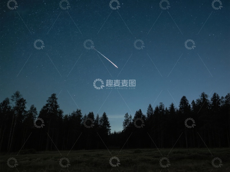 高清大图下载【趣麦麦图】夜空流星划过森林