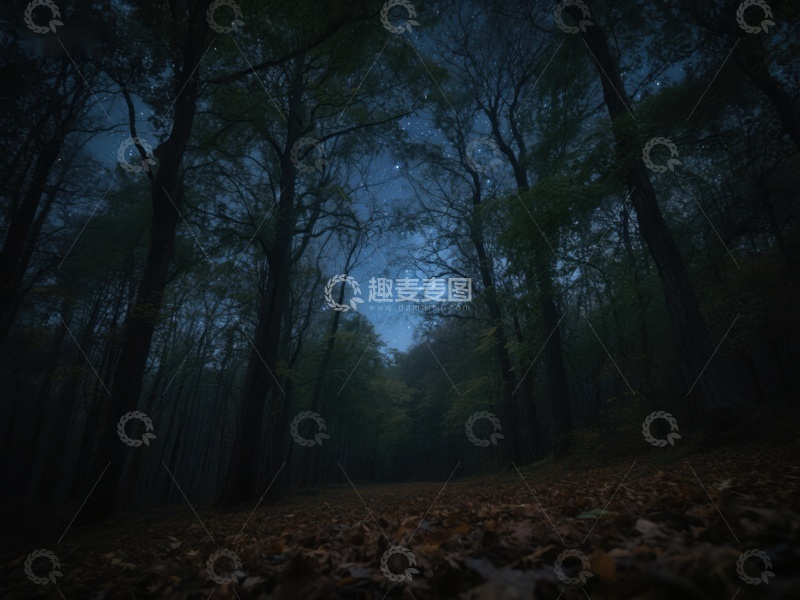 高清大图下载【趣麦麦图】夜幕下的森林小径