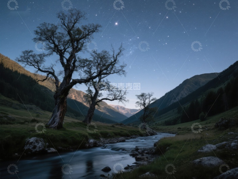 高清大图下载【趣麦麦图】夜空下的山谷溪流与古树
