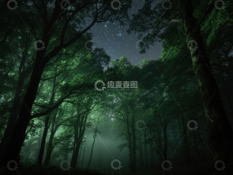 高清大图下载【趣麦麦图】夜幕森林，星光点点