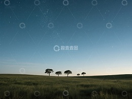 星空下的草原与孤树