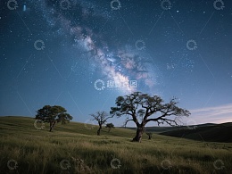 夜空下的孤树与银河