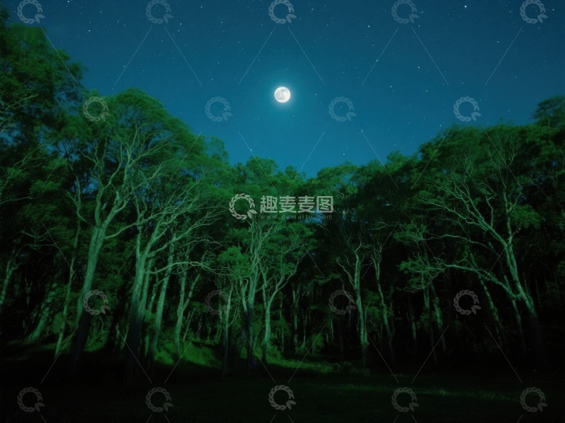 高清大图下载【趣麦麦图】月光下的森林夜景