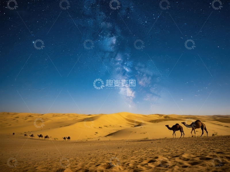 高清大图下载【趣麦麦图】沙漠夜景：骆驼与银河