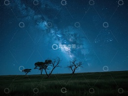 夜空下的孤树与银河