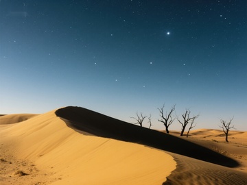 星空下的沙漠与枯树