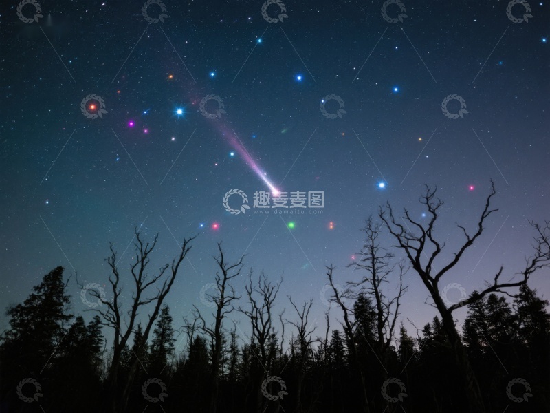 高清大图下载【趣麦麦图】夜空流星划过，树木剪影相伴