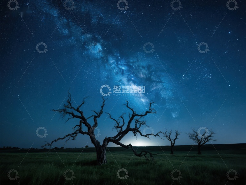 高清大图下载【趣麦麦图】夜空下的枯树剪影