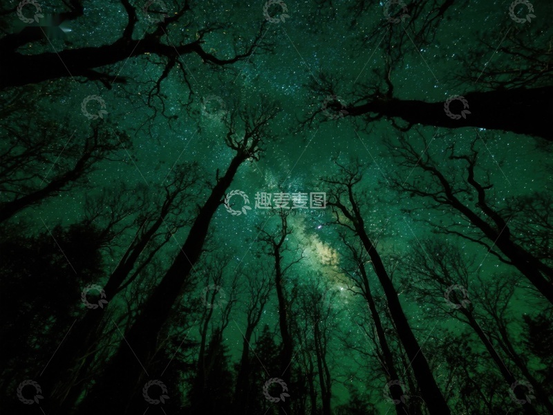 高清大图下载【趣麦麦图】夜空下的森林剪影