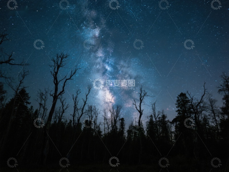 高清大图下载【趣麦麦图】夜空银河与枯树剪影