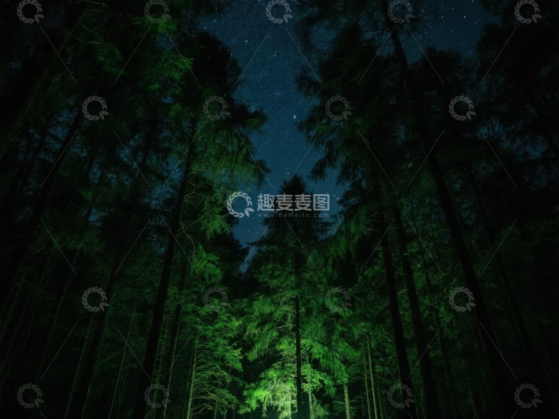 高清大图下载【趣麦麦图】-夜幕森林，星光点点