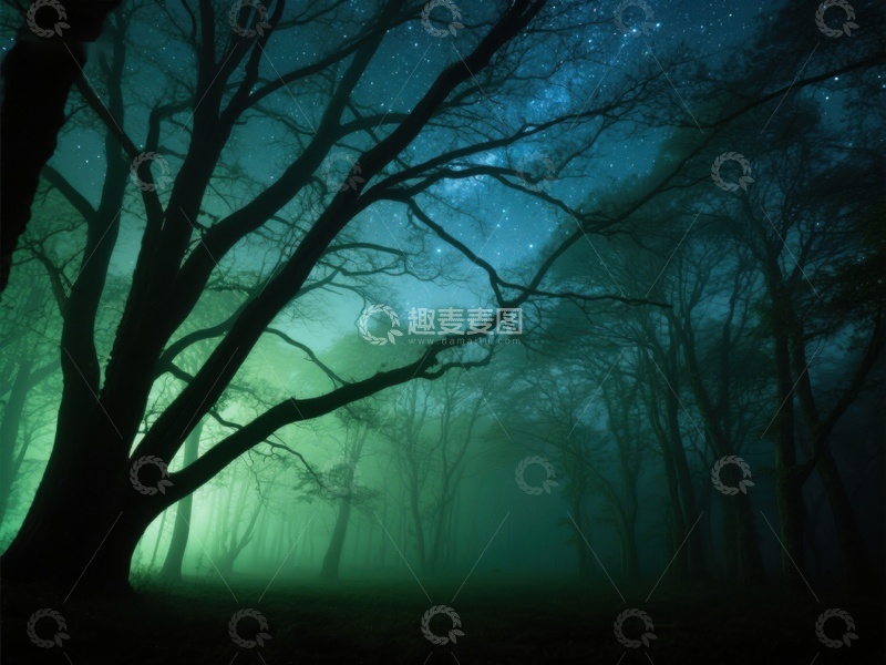 高清大图下载【趣麦麦图】夜幕森林，星光与雾气交织