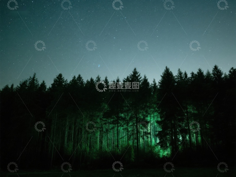 高清大图下载【趣麦麦图】夜幕森林，神秘绿光
